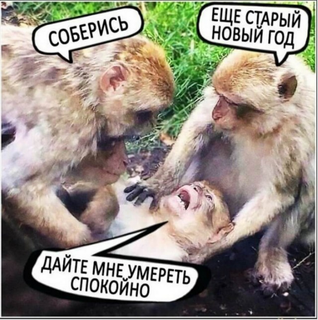 Картинки и мемы для настроения 005
