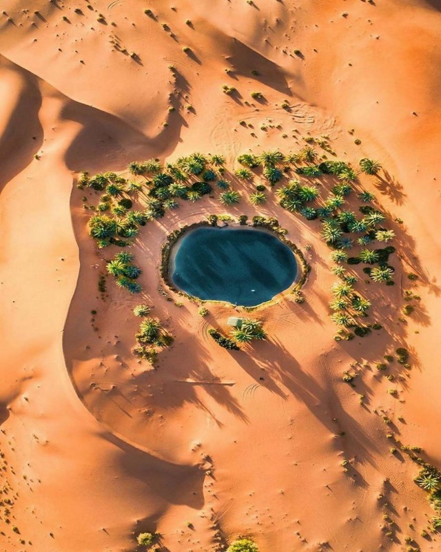 Красота фотографии