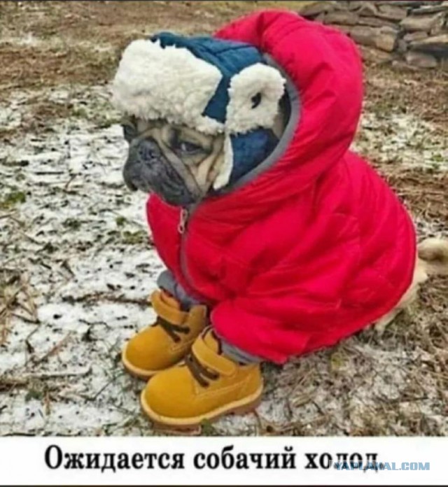 Муж надежд на красивую жизнь не оправдал