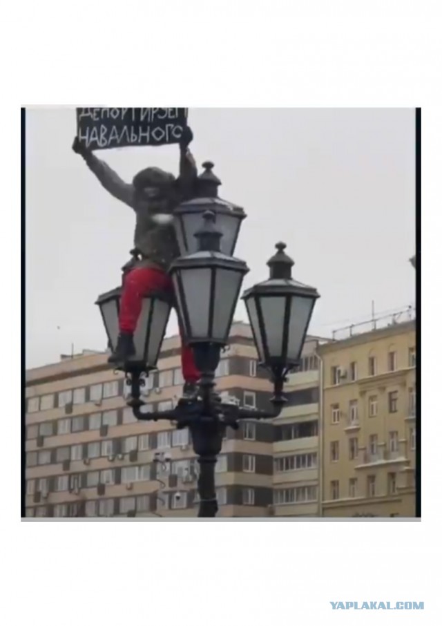 Дичь! На Пушкинской избили противника Алексея Навального, который забрался с плакатом против оппозиционера на фонарный столб