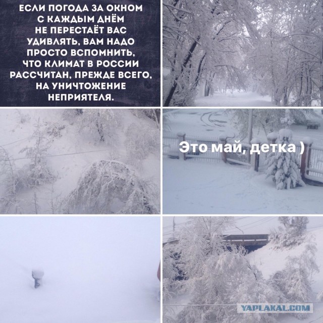 Американская история ужасов. В Техасе из-за сильнейших морозов лопаются трубы