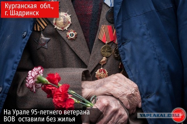 Яровая предложила сажать на пять лет за оскорбление ветеранов