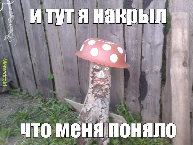 Как я мухомор кушал