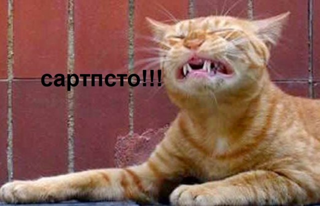 Картинки и мемы для настроения