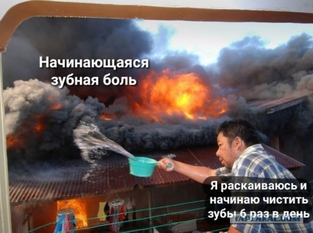 Разной степени баянности пикчи