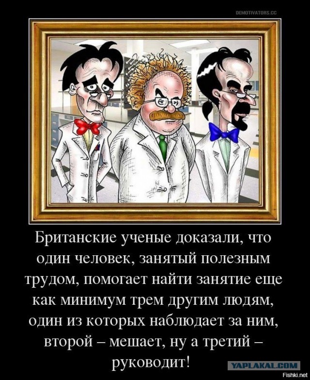Пенис ехидны - одна из главных загадок животного мира