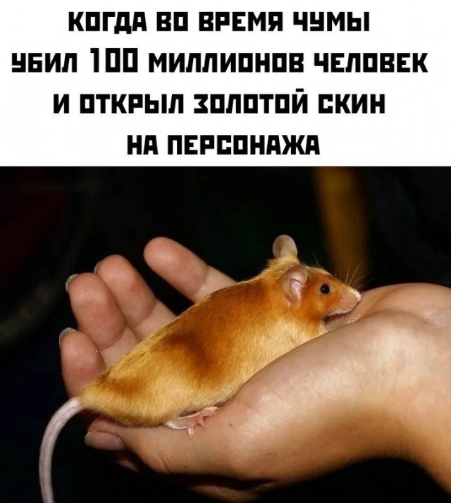 Весёлый полтишок 21.07
