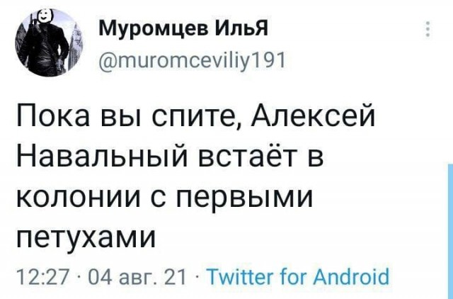 В Москве полиция начала обход граждан, зарегистрированных на сайтах Навального