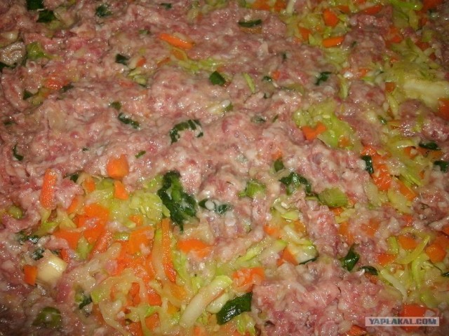 Вся правда о КАБАЧКАХ и ЦУККИНИ