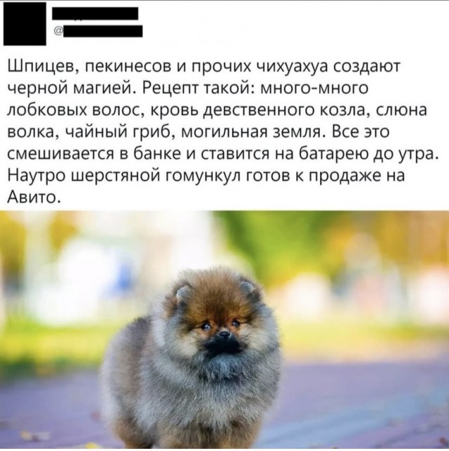 Так себе картинки 29.10.21