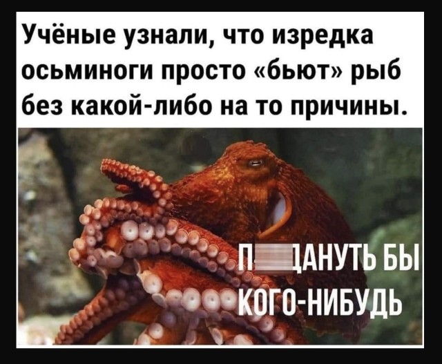Так себе картинки 25.12.21