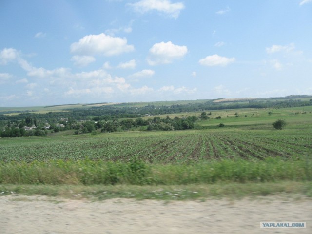 Пенза-Витязево-Пенза