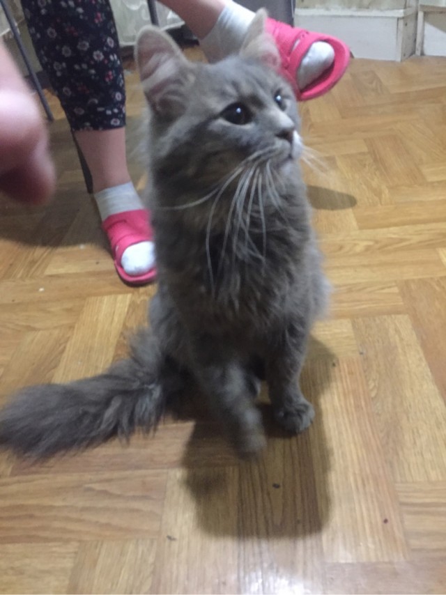 Нас пытаются захватить.
