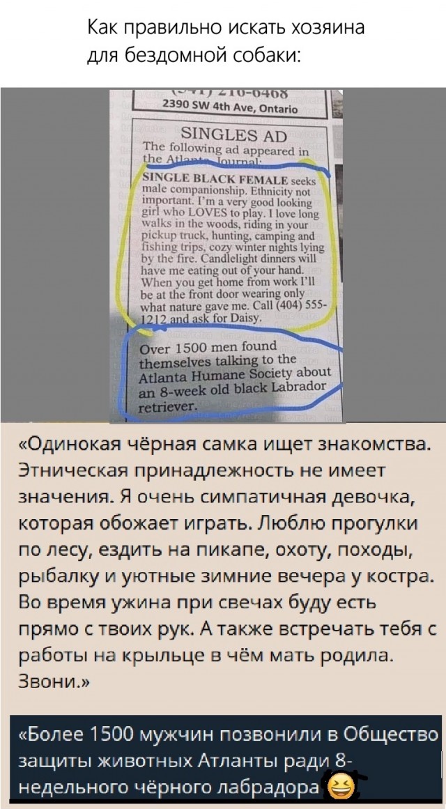 Картинки с надписями и всякие жизненные фразы