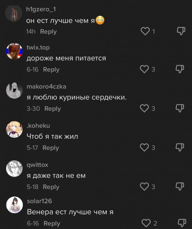 Хозяйка добермана показала обычный рацион своей собаки