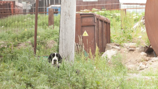 Городок N на Камчатке