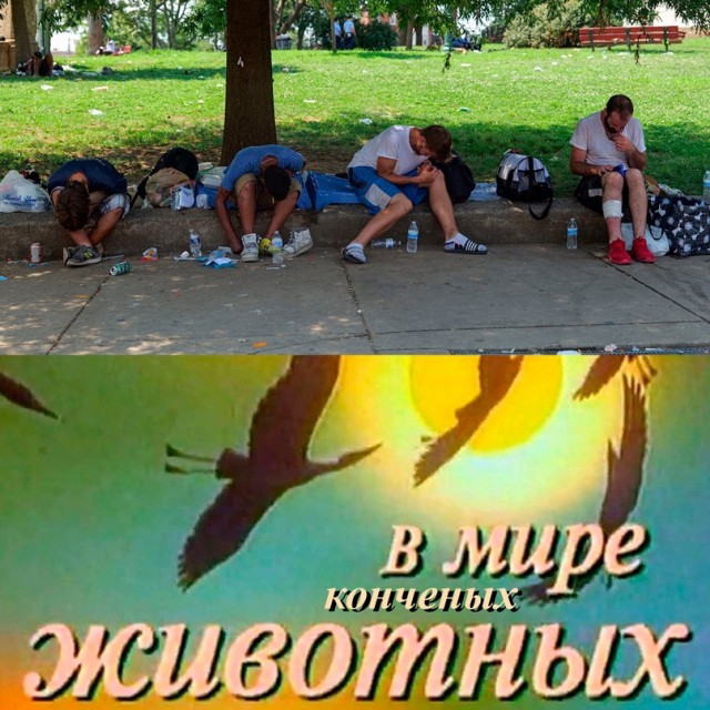 Картинки и мемы для настроения - 009