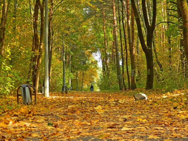 А может быть поделимся печальной красотой?