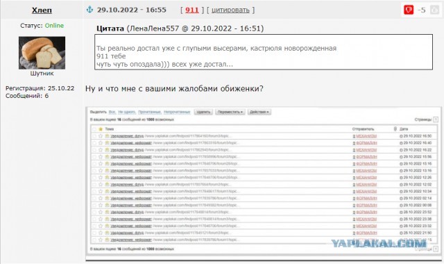 Наши официально обвинили Великобританию в подрыве "Северных потоков"