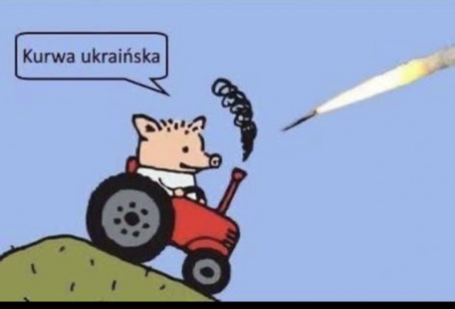 А что думают поляки про своё ЧП?