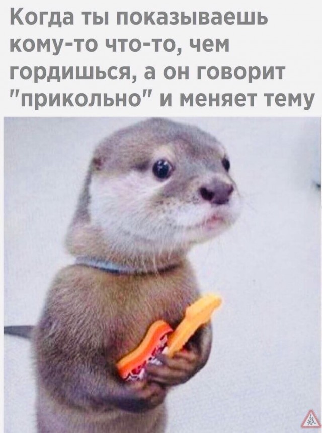 Юмор в картинках и без 01.12.2022