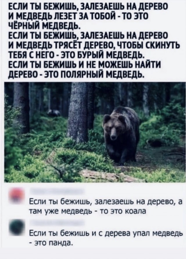 Немного картинок для настроения - 127