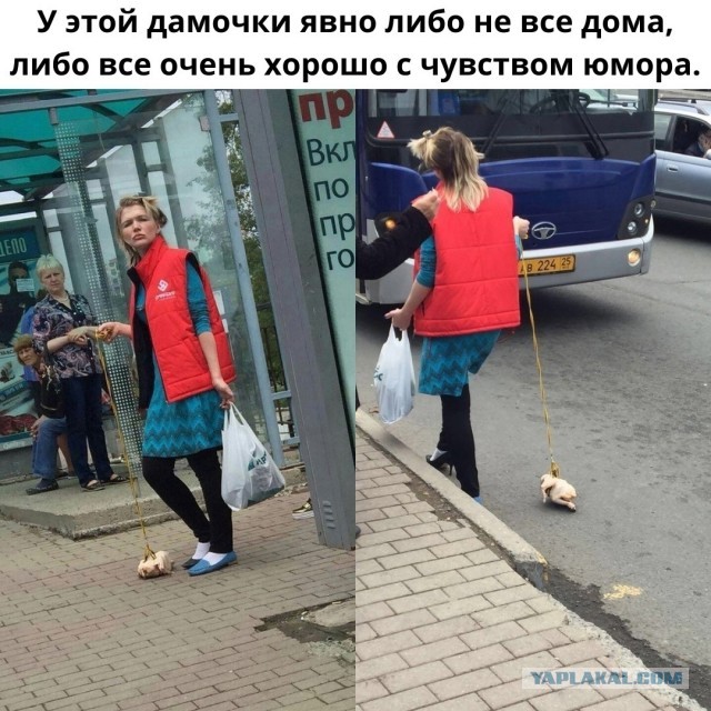 Так себе картинки 25.12.22