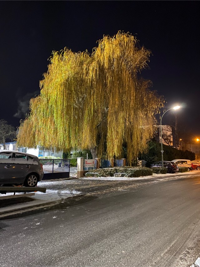 Одно зимнее фото