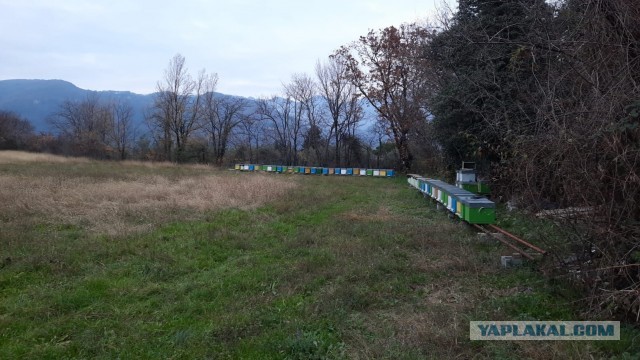 Какие продукты можно купить нынче в Испании на 100 евро или Как изменились цены за последний год