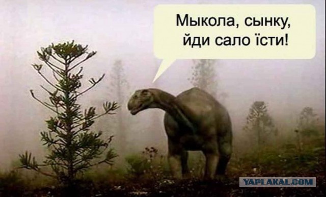 Древнейшая история Украины Фсе