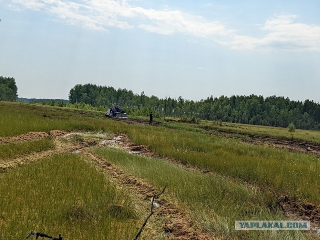 Васюганские болота: где находится самая огромная и неприступная топь в мире и что мы знаем о ней