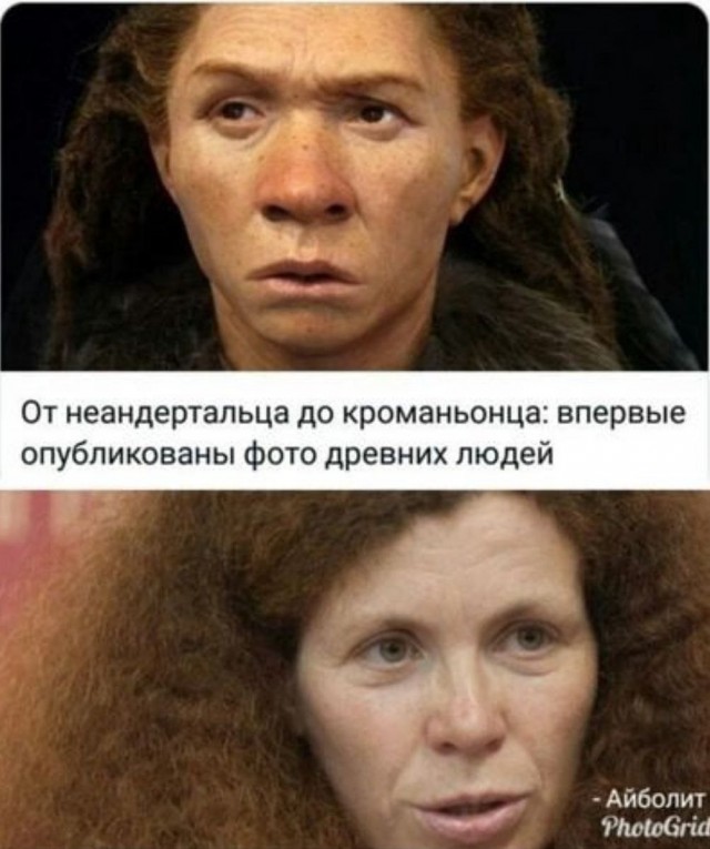 Рыжая макака снова на связи