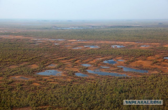 Сибирские перекрёстки