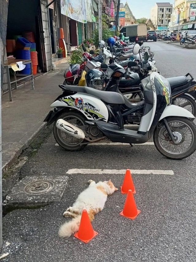 Так себе картинки 16.07.23