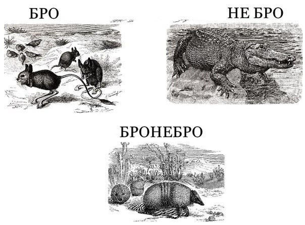 Бронебро