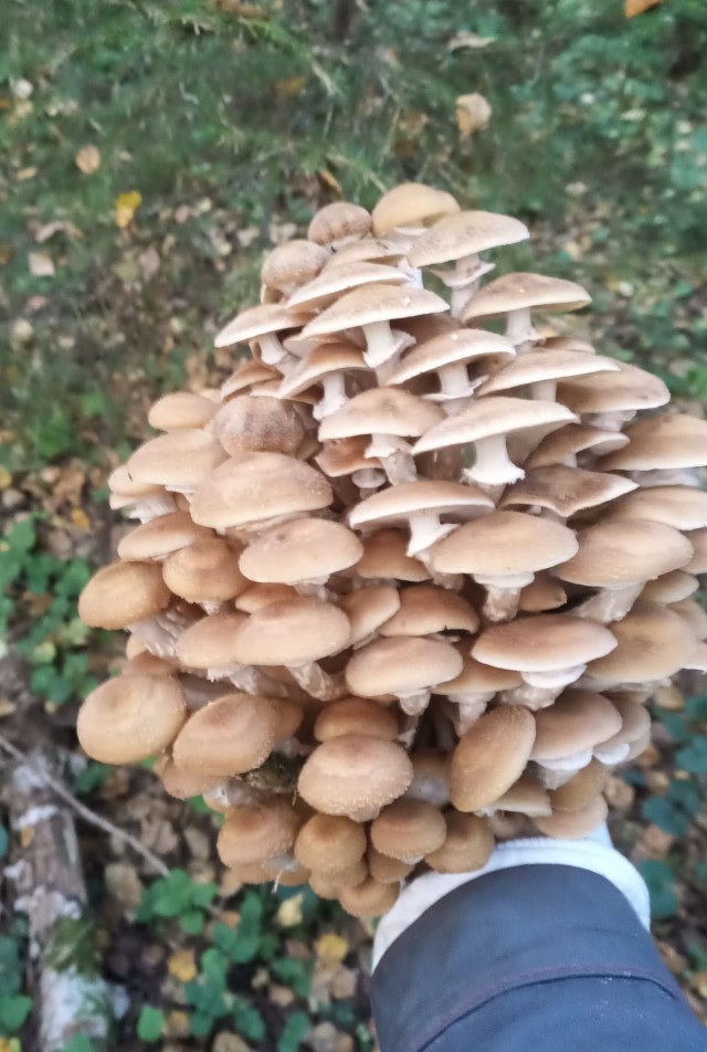 Природа. Урал