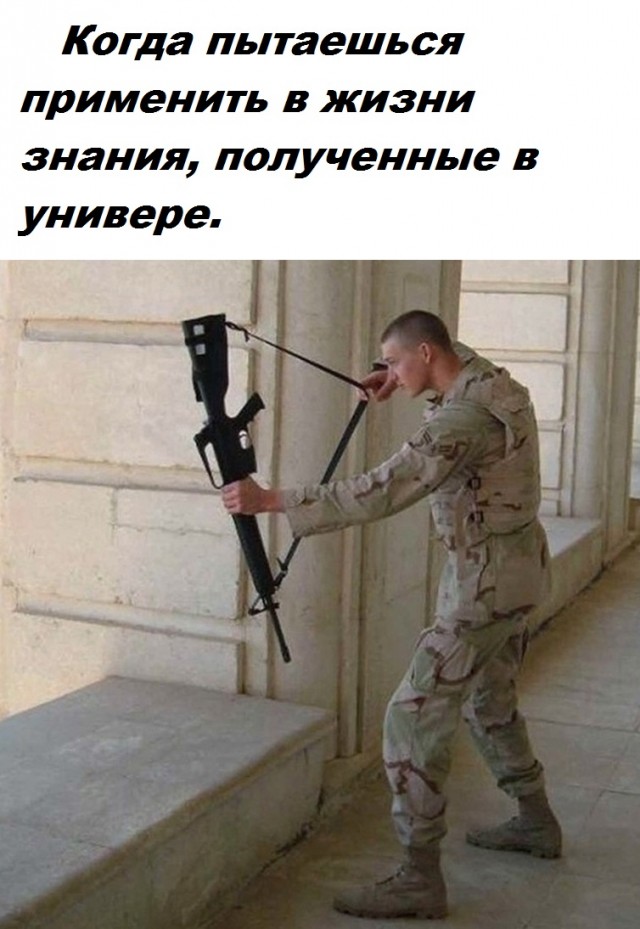 Весёлый полтишок 01.11.23