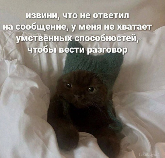 Всего понемногу. От 15.12.23