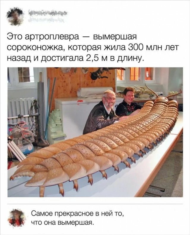 Мамка с детишками