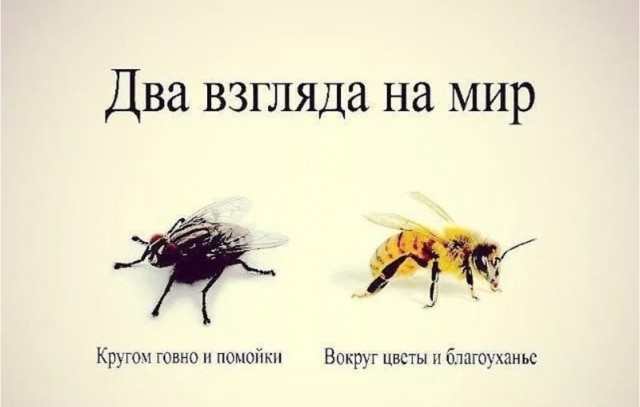 Массовые задержания в Санкт-Петербурге на акции памяти Алексея Навального