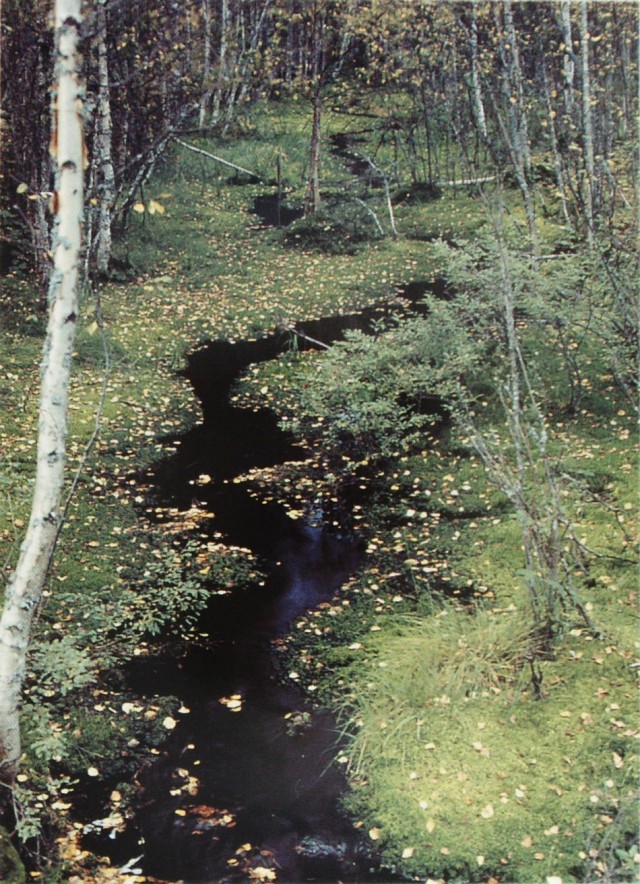 ФотоВинегрет