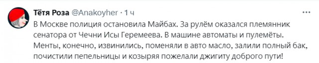 Найденному у племянника российского сенатора оружию дали объяснение