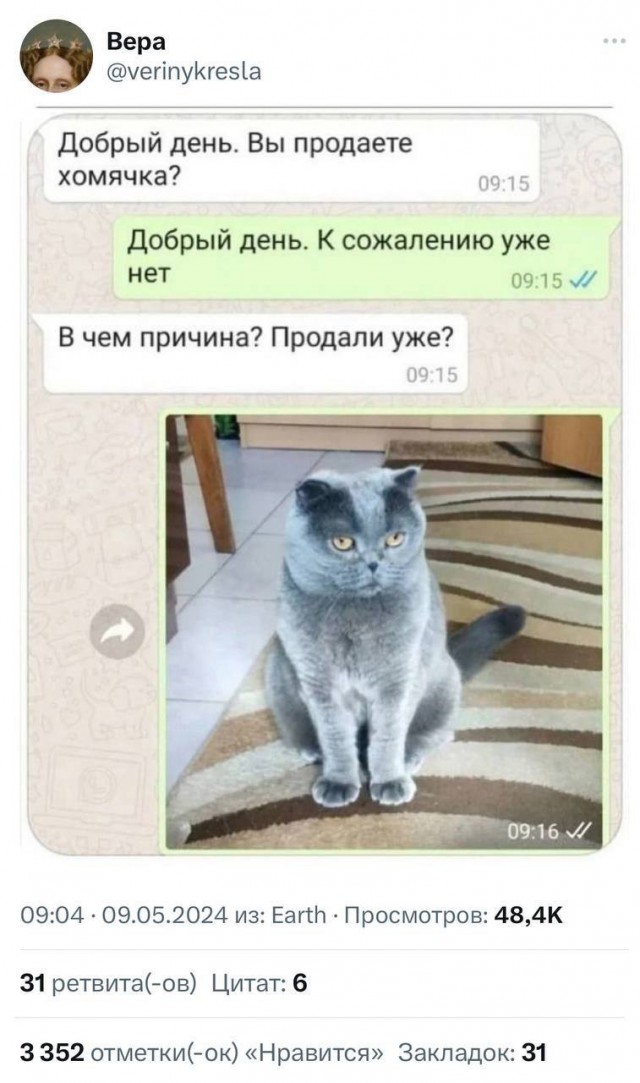Всего понемногу. От 12.05.2024