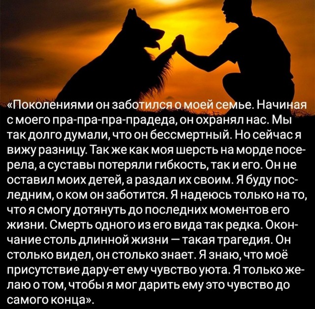 Никакие картинки и такие же тексты