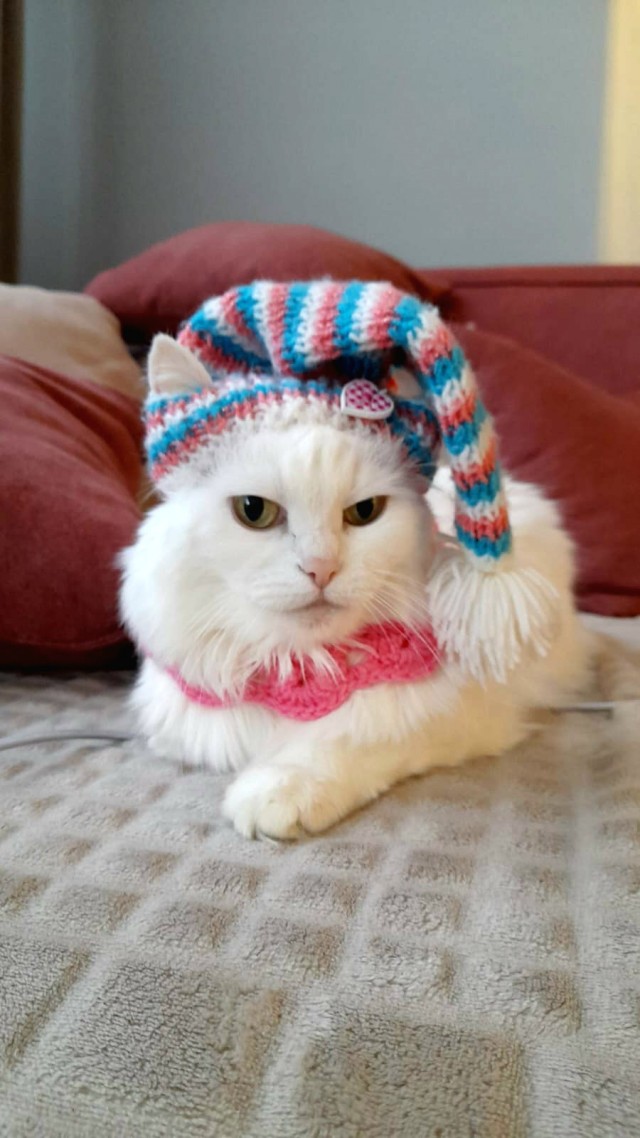 17 лет старичку!