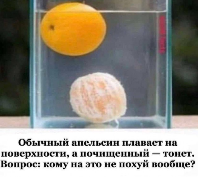 Сборник бабаянов или неожиданная помойка