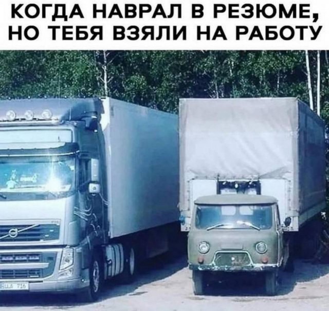 Прикольные и просто красивые картинки