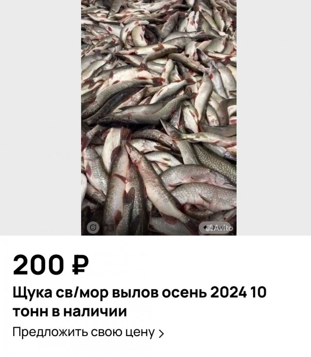 Погода подвела, а может и не погода