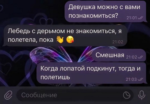 Немного забавных картинок от 01.12.2024