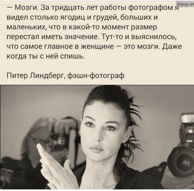 Мозги или сиськи